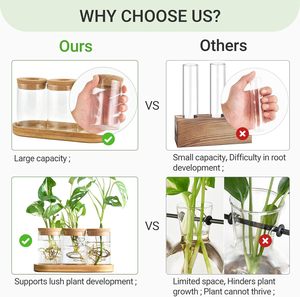 Terrarium <span class=keywords><strong>de</strong></span> propagation des plantes, station <span class=keywords><strong>de</strong></span> plantation en verre <span class=keywords><strong>de</strong></span> bureau, vase en verre pour plantation aquatique avec couvercle et support en bois, décoration <span class=keywords><strong>de</strong></span> bureau, 3 pièces - Product Image 5