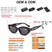 Vente en gros 2026 Nouvelles Lunettes de Soleil de Luxe à Petite Monture de Marque Designer pour Hommes et Femmes Gafas De Sol