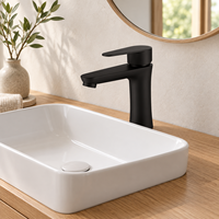 Robinet de salle de bain moderne WYRAX en acier inoxydable brossé à trou unique, à poser sur le comptoir, idéal pour salon et salle de sport - Vente chaude