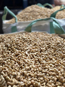 ทางเลือกที่เชื่อถือได้สำหรับผู้บริโภคที่ใส่ใจสุขภาพเก็บเกี่ยวสดเม็ดมะม่วงหิมพานต์บริสุทธิ์มีไขมันต่ำไม่มีสารปรุงแต่ง - Product Image 2