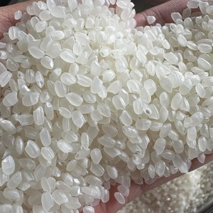 Riz blanc japonica biologique, texture dure, riz à grains courts, séché, Vilaconic JP01, durée de conservation de 24 mois, récolte du Vietnam 2024 - Product Image 5