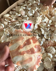 FABRICANTE DE POLVO DE CÁSCARA DE CANGREJO PREMIUM DE VIETNAM - Product Image 5