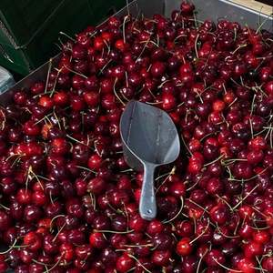 Texture ferme et Brix élevé 18%+ Cerises rouges | Récolte fraîche, exportation, approvisionnement en gros au Royaume-Uni - Product Image 2