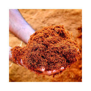 Turba de coco disponible para la venta a un precio barato con alta capacidad de retención de agua - Product Image 6