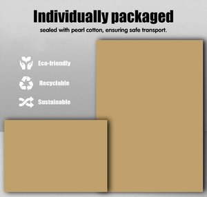 Enclos professionnel en PVC pour éleveurs, conception modulaire empilable, OEM ODM, enclos pour reptiles et insectes (gecko arboricole) - Product Image 6