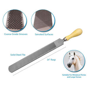 ตะรังกีบม้าแบบนิ่มสองด้านเครื่องมือสัตวแพทย์สำหรับแพทย์ผู้เชี่ยวชาญ - Product Image 5