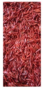 Hete En Pittige Gedroogde Chili Export Uit Vietnam Fabriek Specerijen & Kruiden Producten Tegen De Laagste Prijs Voor Export - Product Image 5