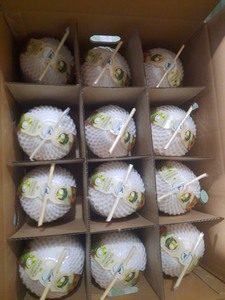 South Mekong Fruta fresca orgánica de alta calidad Coco joven Calidad de exportación Precio barato Pulpa de cáscara de agua incluida - Product Image 6