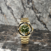 Montre à quartz AURORA de style professionnel en acier inoxydable 316L, boîtier de 42 mm, cadran en cristal saphir, étanche 10 ATM pour Ronda 763, unisexe