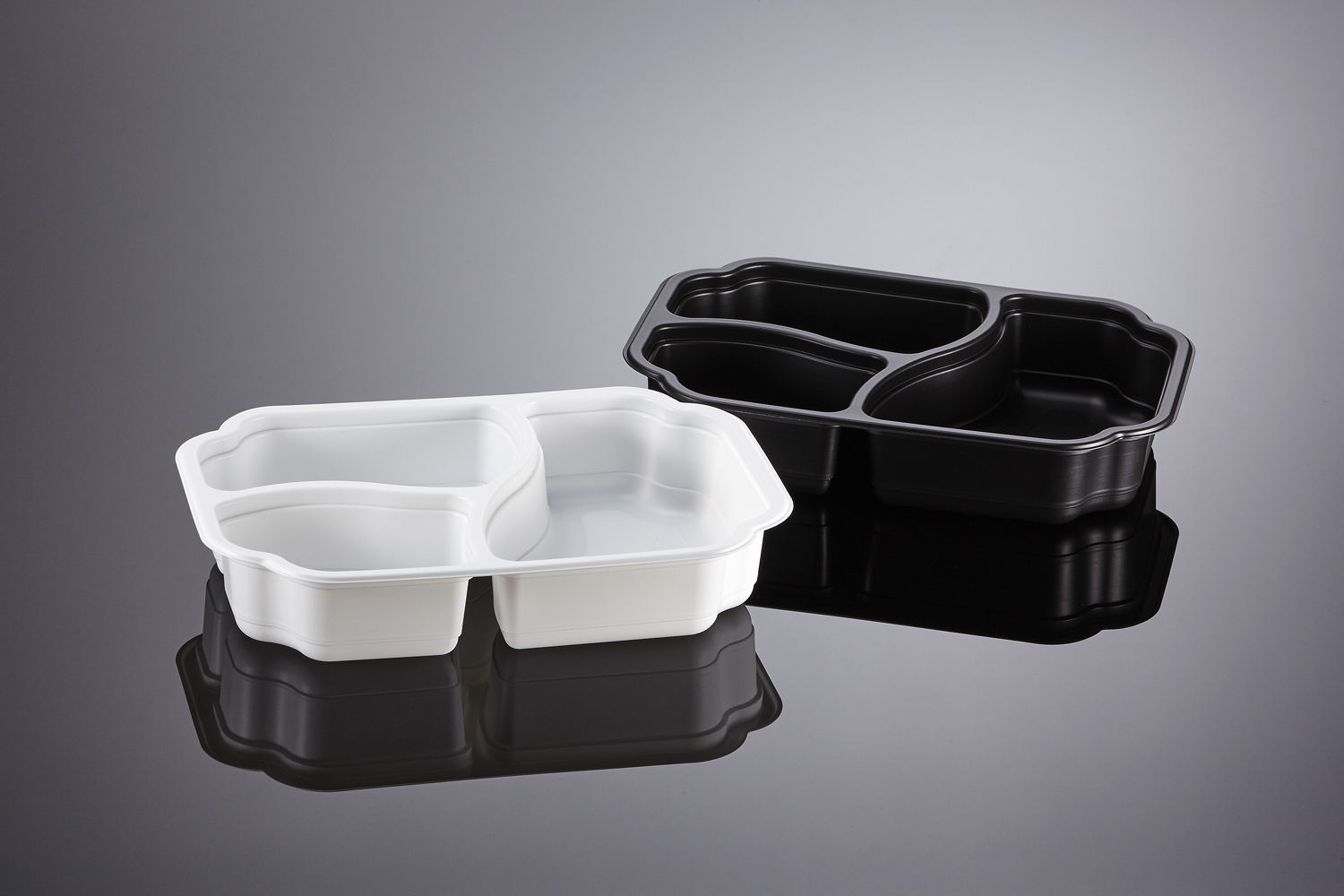 สีขาวและสีดำ