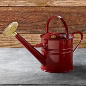 Bidon d'eau en métal au meilleur design et au look antique pour fleurs avec matériau résistant à la rouille durable et poignée ergonomique - Product Image 6
