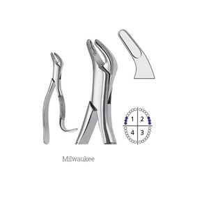 Professional Manufacturer Stainless Steel Made Milwaukee Extraction Forceps Basis Surgical Instruments Dental Use <b>Tools</b> - Product Image 1