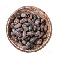 Vente chaude à Bul Prix fèves de cacao de qualité supérieure-torréfié/noir solutions d'emballage personnalisables
