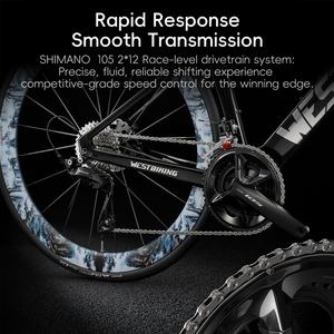 Bicicletas de carretera ligeras de fibra de carbono WEST BIKING con frenos de disco hidráulicos, bicicleta de carretera moderna. - Product Image 3