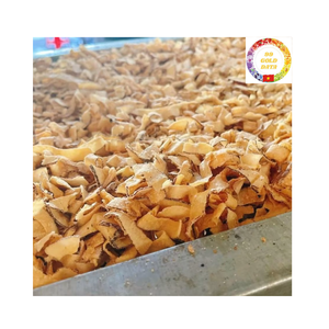 Chất Lượng Hàng Đầu Dừa Mảnh Từ Việt Nam Số Lượng Lớn Giòn Nướng Chip Với Giá Cả Cạnh Tranh - Product Image 4