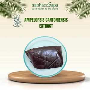 Extracto de Ampelopsis Cantoniensis tradicional de alta calidad 2.5% dihidromiricetina 15-30% polvo de parte de hoja para bolsa de salud embalada - Product Image 5