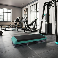 Plataforma Deportiva Pliométrica Ajustable para Ejercicios de Fitness, Escalada, Plank, Bicicleta, Abdominales, Aeróbicos, Personalizable