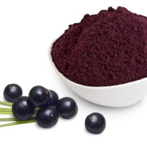 Melhor Qualidade Pura e Natural Secas Black <span class=keywords><strong>Elderberry</strong></span> Fruit Extract Powder a Preço de Atacado da Índia