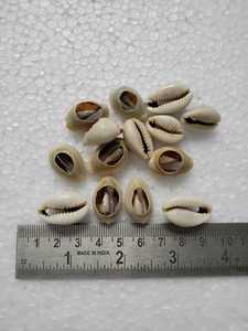 ที่กำหนดเองทำในแสงสีเบจเปลือกหอยวัวธรรมชาติที่ฟอกขาวและสีธรรมชาติสำหรับนักออกแบบเครื่องประดับและร้านค้าลูกปัด - Product Image 3