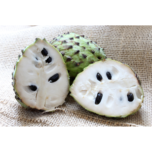 Attractive Irresistible with <b>Fresh</b> Graviola <b>Fresh</b> Soursop for Wholesaler or for Buyer (+84983028718) - Product Image 6