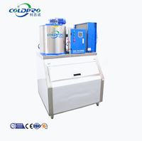 Machine à glace en flocons industrielle et commerciale COLDPRO, petite et grande capacité, pour supermarchés, bateaux de pêche, conservation des aliments