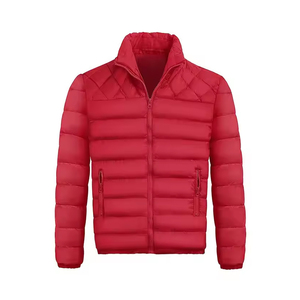 Blouson matelassé léger et imperméable pour homme, personnalisé OEM, chaud, coupe-vent, streetwear, décontracté, haute performance pour l'hiver - Product Image 1