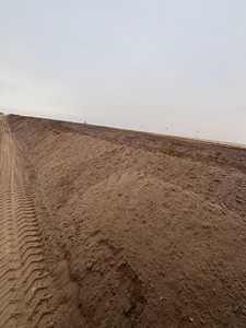 การไกล่เกลี่ยของน้ำมันดิบปนเปื้อนดินที่มี2002 OSR - Product Image 5