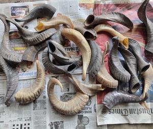 Venta directa de fábrica, la mejor calidad, cuerno de búfalo de agua genuino, masticable para perros, estilo Animal pulido, religioso de la India - Product Image 2