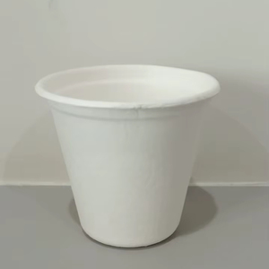 Tazas Chai de corte, tazón de bagazo biodegradable desechable, patrón circular para ensalada, fruta, Sushi, azúcar, pan, verduras, leche - Product Image 1