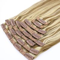 Clip in Hair Extensions Brown with Blonde Highlighted Human Hair Clip in Real Extensions 7 Pieces 150G