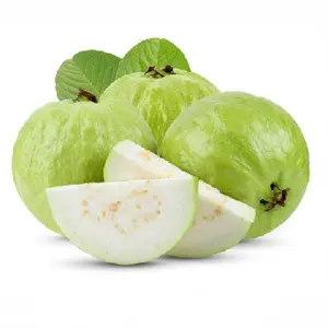 100% High quality Fresh Guava in for sale