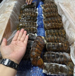 Écrevisses congelées au goût frais et à prix de gros maintenant disponibles pour les amateurs de fruits de mer - Product Image 3