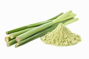 ผงตะไคร้บริสุทธิ์จากธรรมชาติสูตรสะอาดจากพืชช่วยเพิ่มภูมิคุ้มกัน - Product Image 4