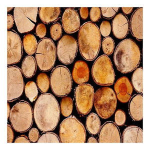 Bûches de noyer noir de qualité supérieure, durables et au design esthétique raffiné, pour la fabrication de meubles haut de gamme et d'armoires. - Product Image 3