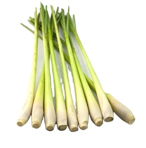 ตะไคร้แช่แข็งขายดี - Product Image 1