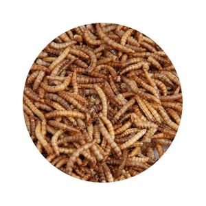Dried Mealworms Fish Use Meal <b>Worms</b> Animal Feed - Product Image 1