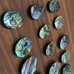 หินเปลือกหอยเป๋าฮื้อธรรมชาติขัดเงา รูปทรงคละแบบ สำหรับทำเครื่องประดับ ลดราคาพิเศษ - Product Image 4