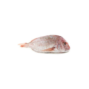 Poisson rouge congelé à livraison rapide, fourni pour la vente en gros et les commandes importantes - Product Image 5