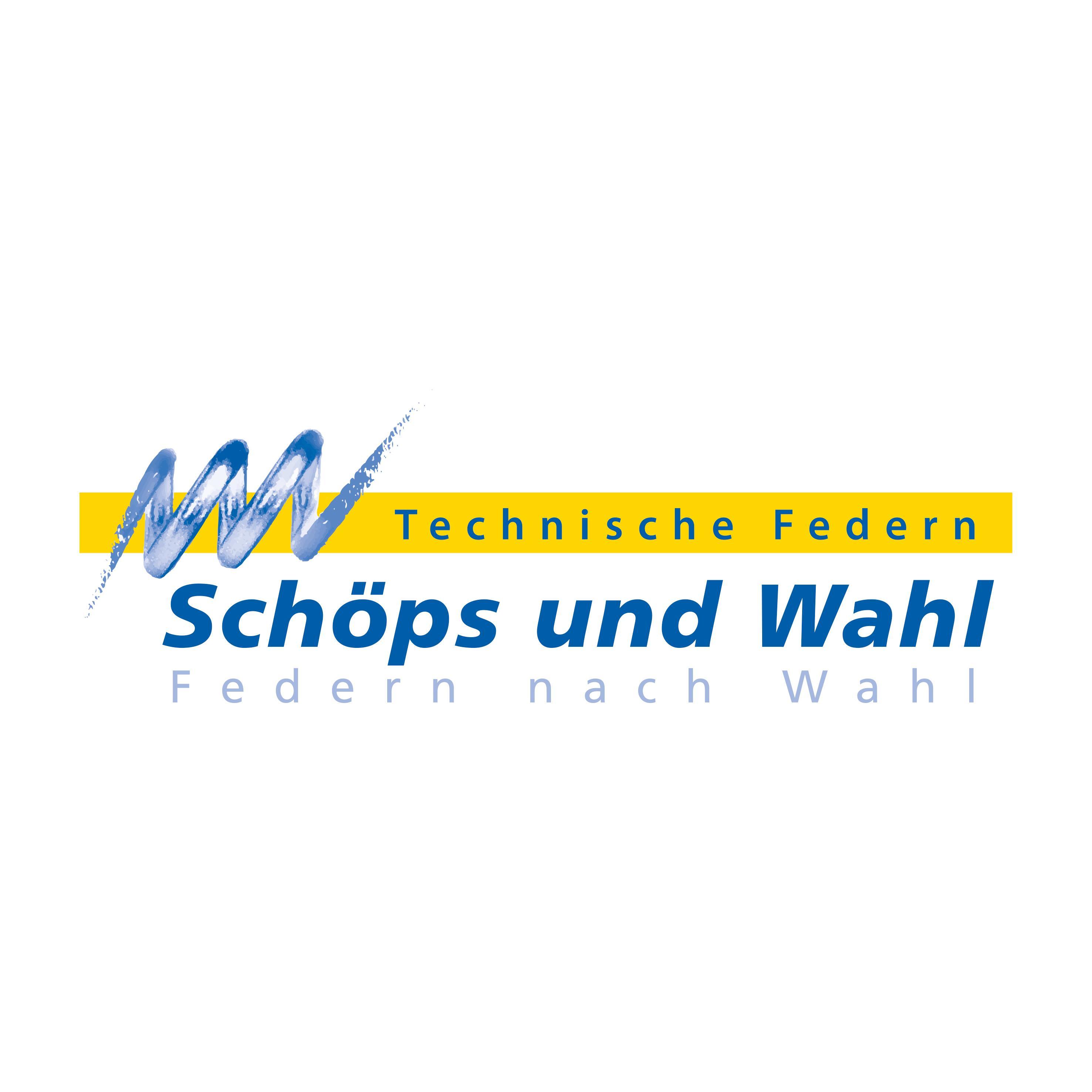 Schöps und Wahl GmbH logo