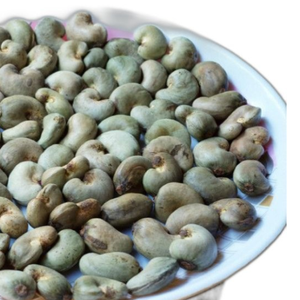 Usine de noix de cajou brutes pour l'industrie de transformation Norme de noix de cajou brutes biologiques pour l'exportation aux États-Unis - Product Image 5