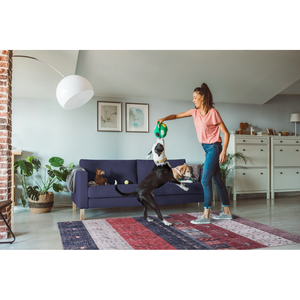 Alfombra Gabbeh Lavable a Máquina Netline Home Rugs Depot NH1339, Alfombra Oriental con Rayas Tribales, Motivos Decorativos para Sala de Estar, Símbolos - Product Image 4