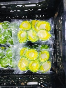 Avocat congelé de haute qualité du Vietnam Meilleur pour la cuisson des smoothies et l'industrie alimentaire Commandes en gros disponibles - Product Image 5