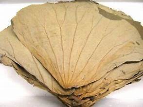 HOJAS DE LOTO SECAS DE ALTA CALIDAD PARA ETIQUETAS LIMPIAS PRODUCTOS HERBALES FÓRMULAS DE TÉ Y SALUD INMUNE - Product Image 3