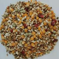 Nourriture Premium pour Pigeons avec du Maïs, du Blé, du Millet, des Pois et des Graines de Tournesol
