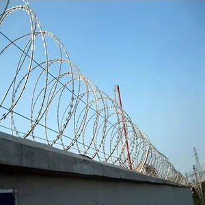 Fil de fer <span class=keywords><strong>barbelé</strong></span>, <span class=keywords><strong>barbelé</strong></span> anti-oiseaux, lames de protection, épines, fil de <span class=keywords><strong>barbier</strong></span> anti-escalade, fil de rasoir droit - Product Image 6