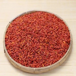 Chile Ojo de Pájaro Barato Cosecha 2026 Kenia 9% Brix, Chile Ojo de Pájaro Keniano, Suministro a Granel para Aplicaciones Herbales - Product Image 5