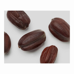 Échantillon gratuit Prix d'usine Graine de jojoba de transporteur 100% Graine de jojoba à vendre - Product Image 6