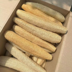 Natural Loofah Sponge Vietnam Bath Shower Exfoliating Loofa Scrubber Sponges, Natural loofah sponge Eco-friendly loofah - Product Image 1