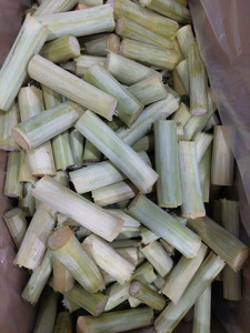 SUPERVENTAS AL POR MAYOR CAÑA DE AZÚCAR MORADA CONGELADA CALIDAD PREMIUM EXPORTACIÓN A GRANEL CAÑA DULCE NATURAL PROVEEDOR DE VIETNAM - Product Image 4