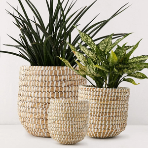 Cesta de maceta para suelo de algas marinas para decoración del hogar hecha de algas marinas naturales de Vietnam por Viet Fargimex - Product Image 1